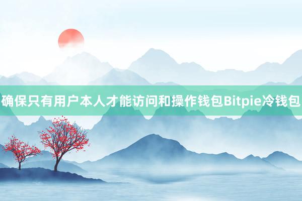 确保只有用户本人才能访问和操作钱包Bitpie冷钱包