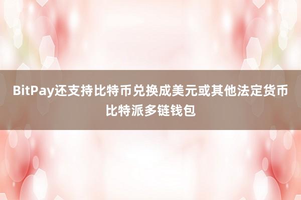 BitPay还支持比特币兑换成美元或其他法定货币比特派多链钱包