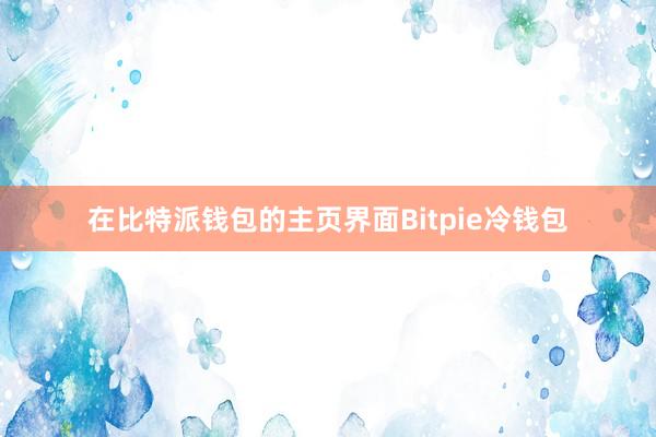 在比特派钱包的主页界面Bitpie冷钱包