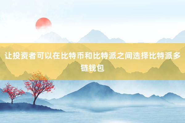 让投资者可以在比特币和比特派之间选择比特派多链钱包