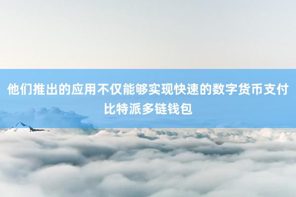 他们推出的应用不仅能够实现快速的数字货币支付比特派多链钱包